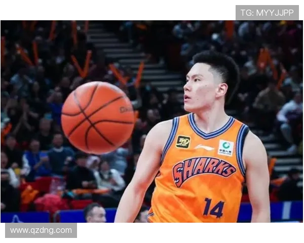 上海篮球队在CBA中的排名及赛季表现